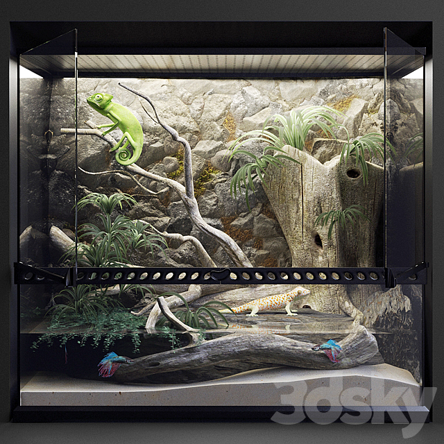 Terrarium 3DSMax File - thumbnail 1