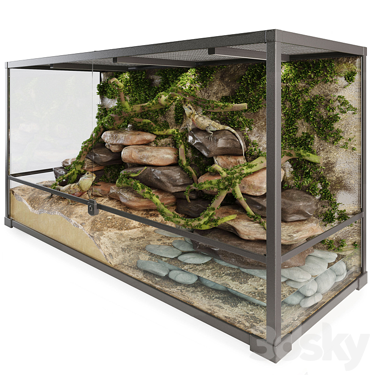 Terrarium Agama 3DS Max - thumbnail 2