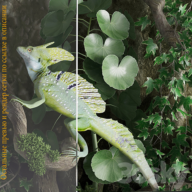 Terrarium Basilisk 3DS Max Model - thumbnail 3