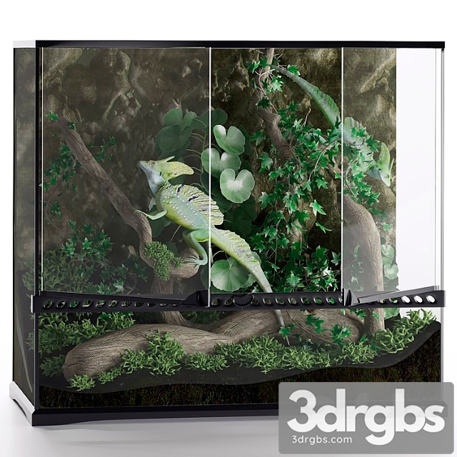 Terrarium basilisk 3dsmax Download - thumbnail 1