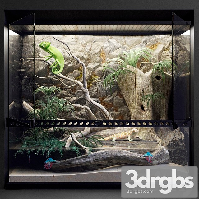 Terrarium_2 3dsmax Download - thumbnail 1