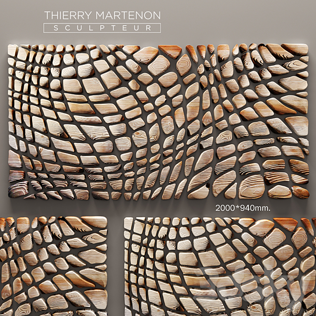 Thierry Martenon wall panel. panel. carving. abstraction. modern art. art. round. wall. picture. wooden. decor 3DSMax File - thumbnail 1