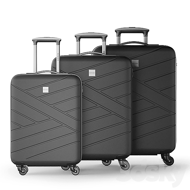 Wittchen Luggage Set 3DSMax File - thumbnail 2