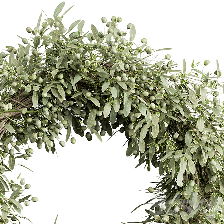 Wreath Set 16 – Olive 3DS Max Model - thumbnail 2