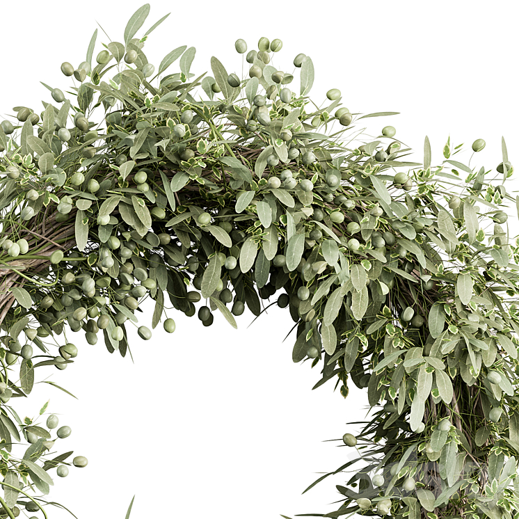 Wreath Set 16 – Olive 3DS Max - thumbnail 2