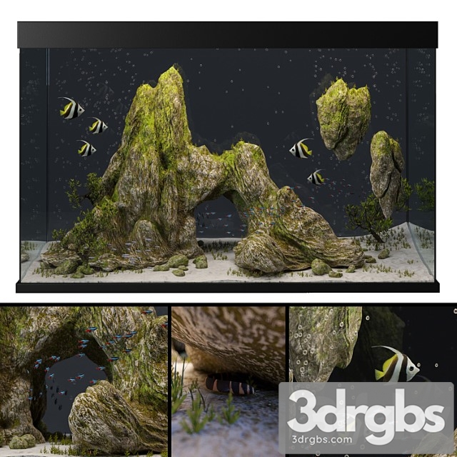 Aquarium with rocks and moss - thumbnail 1