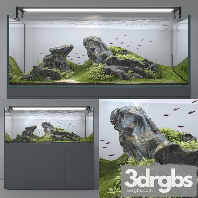 Aquascape aquarium - thumbnail 1