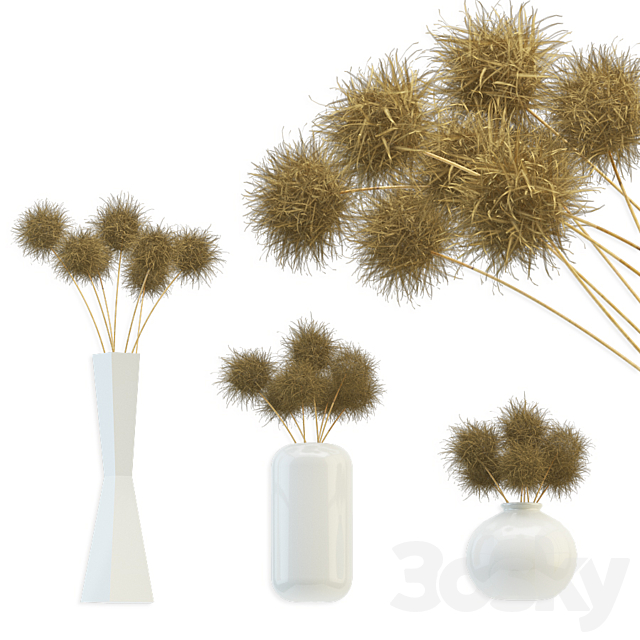 Bouquet of dried round flowers 3DSMax File - thumbnail 1