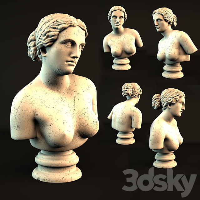 Aphrodite bust 3DSMax File - thumbnail 1