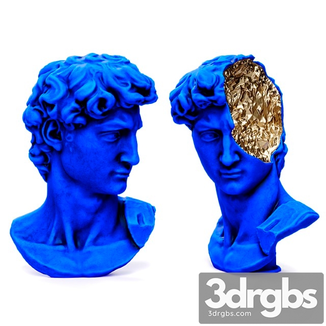 Bust of david michelangelo halfhead - thumbnail 1