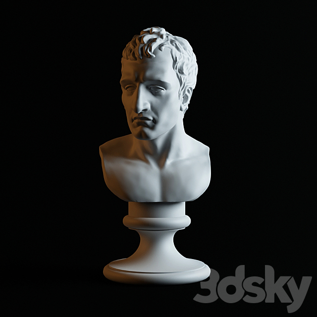 Bust of Napoleon 3DSMax File - thumbnail 1