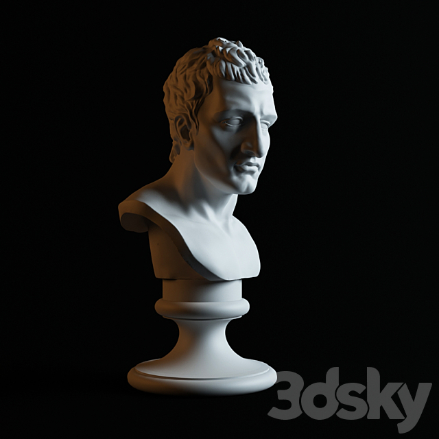 Bust of Napoleon 3DSMax File - thumbnail 2