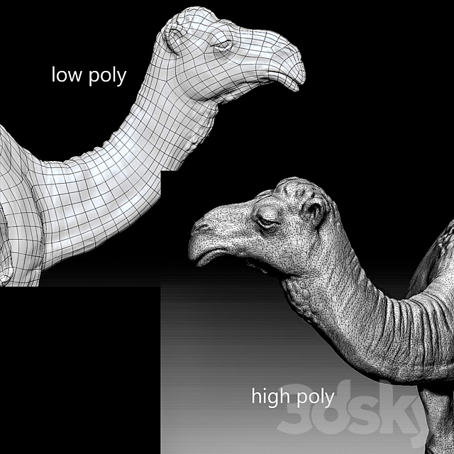 Camel Camel 3DS Max Model - thumbnail 3