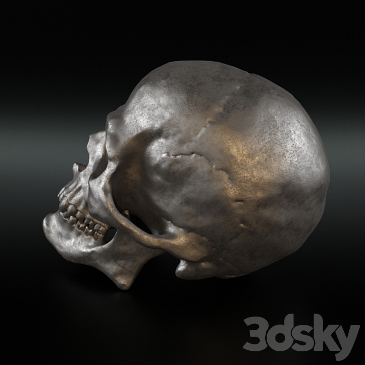 Christopher Guy Decorative Skull 3DS Max - thumbnail 2