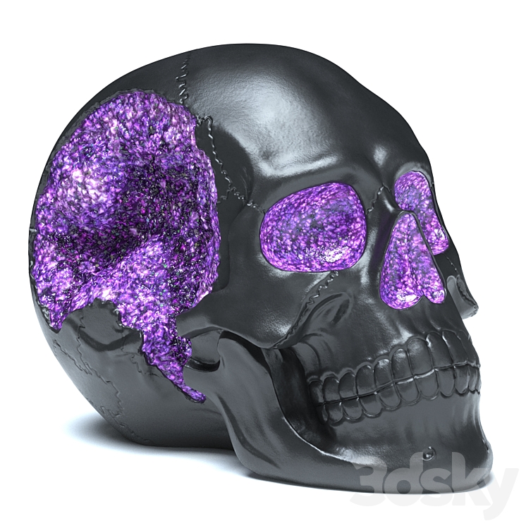 Druza Skull 3DS Max Model - thumbnail 1