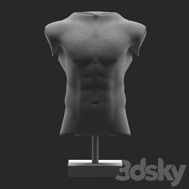 Marble Male Torso 3DSMax File - thumbnail 6