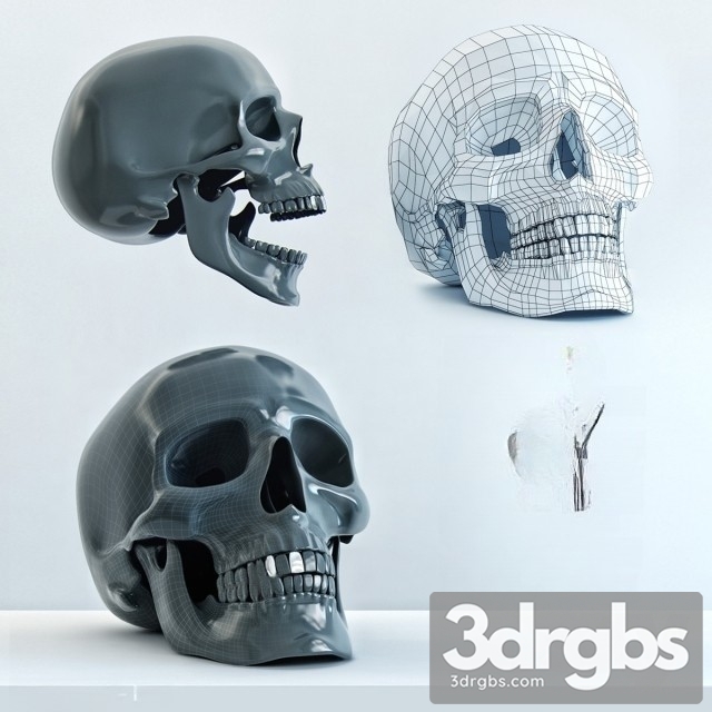 Skull Statue 3dsmax Download - thumbnail 1