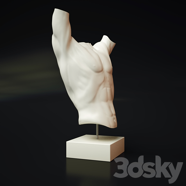 Torso Spin 3DSMax File - thumbnail 2