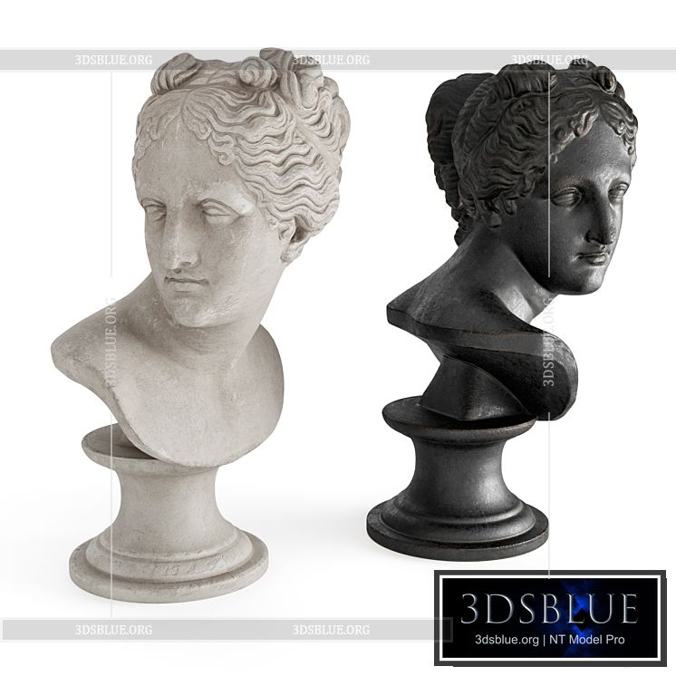 Venus classic bust 3DS Max - thumbnail 3