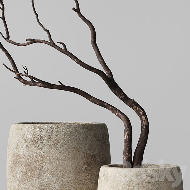 Artisan Rustic Vases with dry Branches 3DS Max Model - thumbnail 2