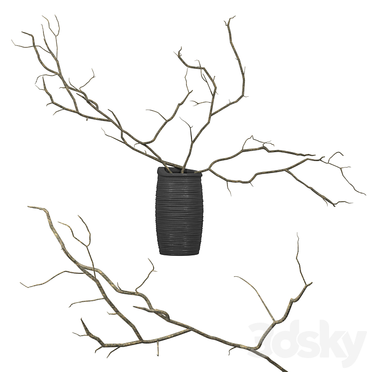 Branches in a vase 3DS Max Model - thumbnail 1