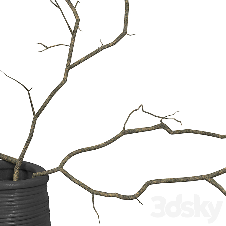 Branches in a vase 3DS Max Model - thumbnail 2