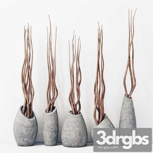 Branches In Concrete Vases Brunch Concrete Vasya 3dsmax Download - thumbnail 1