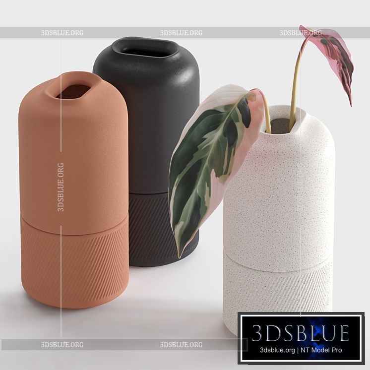 Ceramic Vases (Zenn Vases by Axioma) 3DS Max - thumbnail 3