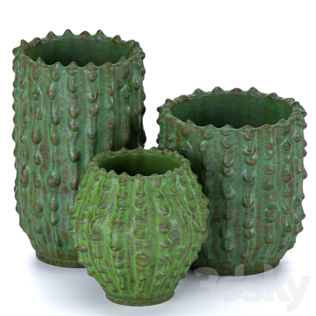 Decorative vases Cactus 3DS Max Model - thumbnail 2