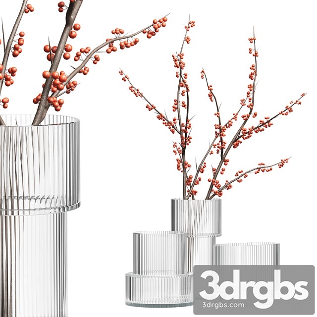 HM Glass Vases With Red Berry Branch 3dsmax Download - thumbnail 1