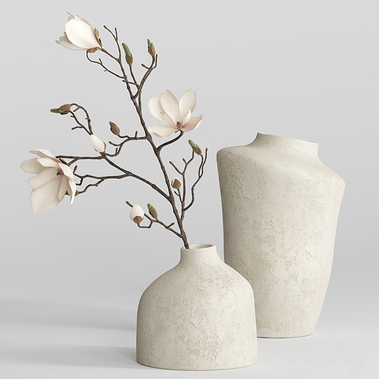 H&M vases with magnolia branch 3DS Max - thumbnail 1