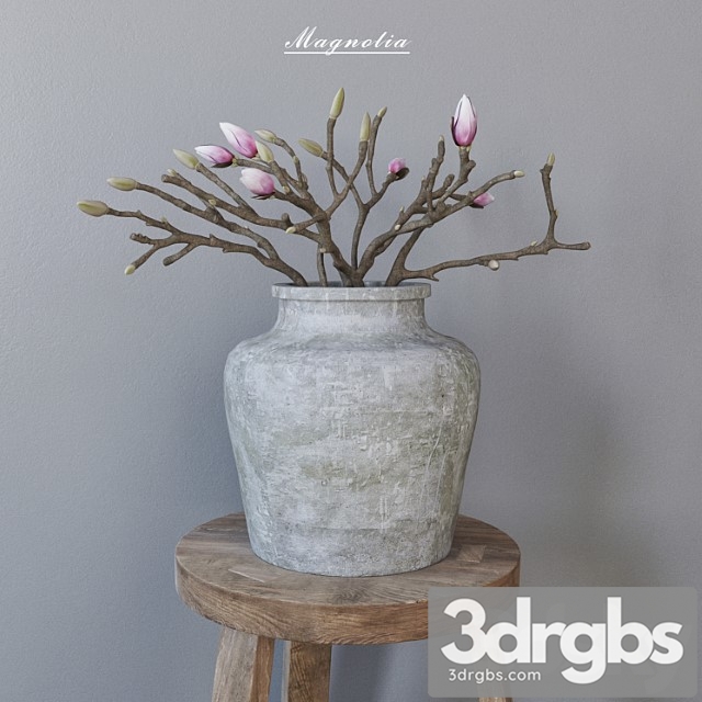 Magnolia In Concrete Vase 1 3dsmax Download - thumbnail 1