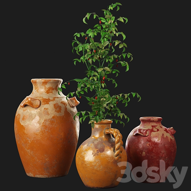 Pottery Barn Sicily Terra Cotta Vases 3DSMax File - thumbnail 1