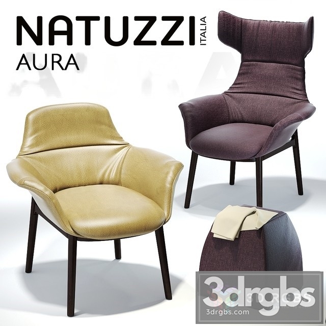 Natuzzi Aura Armchair 3dsmax Download - thumbnail 1