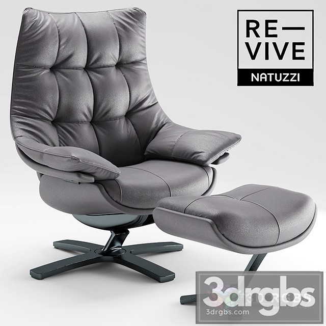 Revive Natuzzi 22 Armchair 3dsmax Download - thumbnail 1