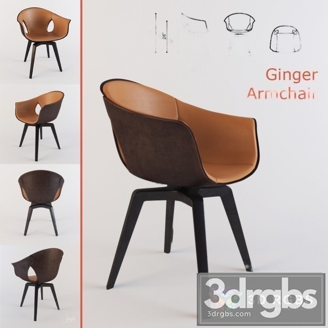 Roberto Lazzeroni Ginger Leather Armchair 3dsmax Download - thumbnail 1