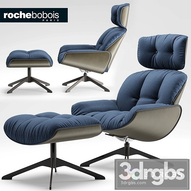 Roche Bobois Quiet Life Armchair 3dsmax Download - thumbnail 1