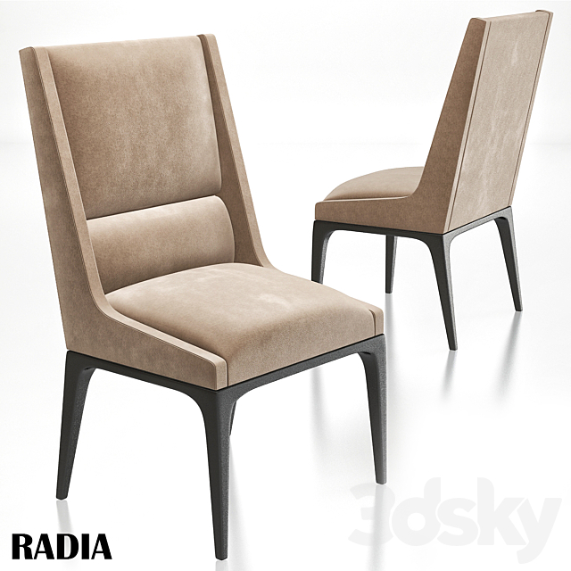 AXIS – radia dining chair 3DSMax File - thumbnail 1