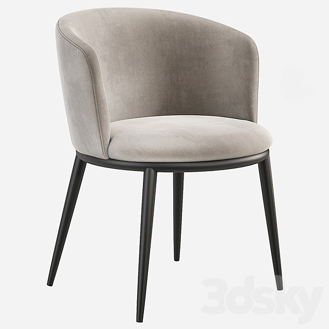 Eichholtz Filmore Dining Chair 3DSMax File - thumbnail 1