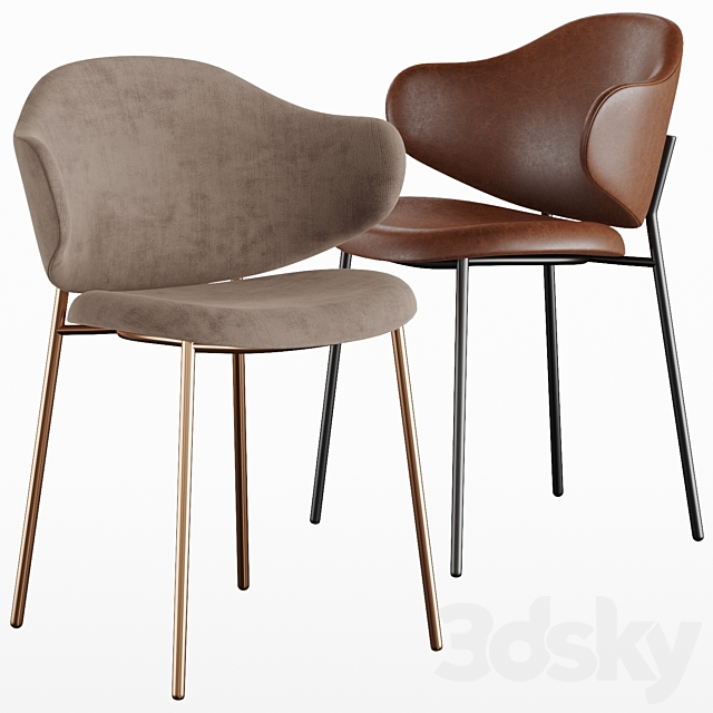 Holly chair Calligaris 3DSMax File - thumbnail 1