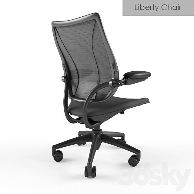 Humanscale Liberty Chair 3DS Max Model - thumbnail 2