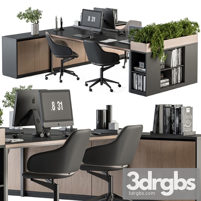 Office Furniture With Plant Box Employee Set 48 3dsmax Download - thumbnail 1