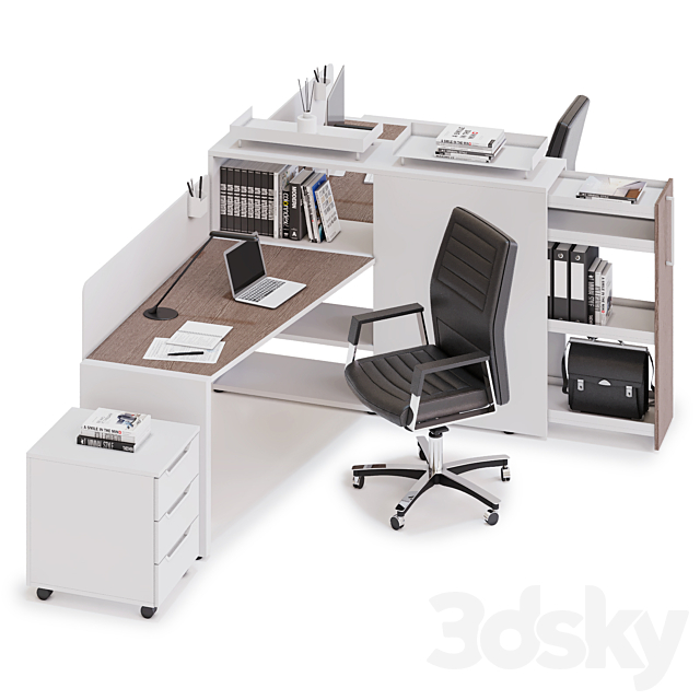 Office workspace LAS LOGIC (v12) 3DS Max Model - thumbnail 2