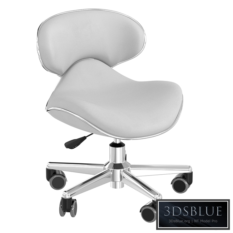 Salon Smart Ergonomic Pedicure Stool Gray 3DS Max - thumbnail 3