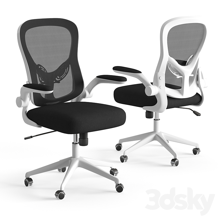 Xiaomi HBADA Ergonomic Double-Waisted Computer Chair HDNY163WM 3DS Max Model - thumbnail 1