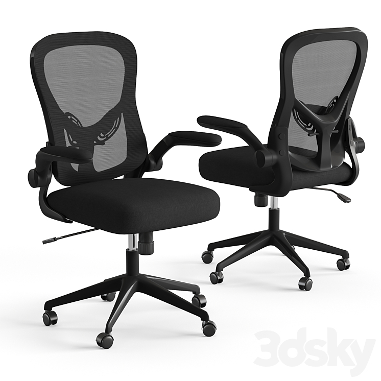 Xiaomi HBADA Ergonomic Double-Waisted Computer Chair HDNY163WM 3DS Max Model - thumbnail 2