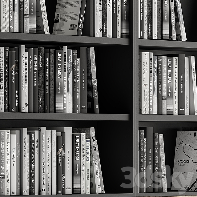 Simple Library with black and white Books 3ds Max - thumbnail 3