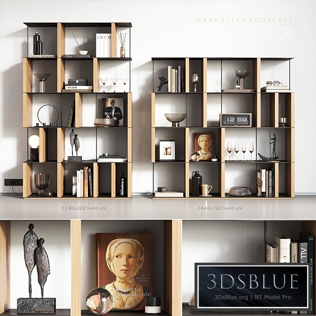 Manhattan bookcase 3DS Max - thumbnail 3