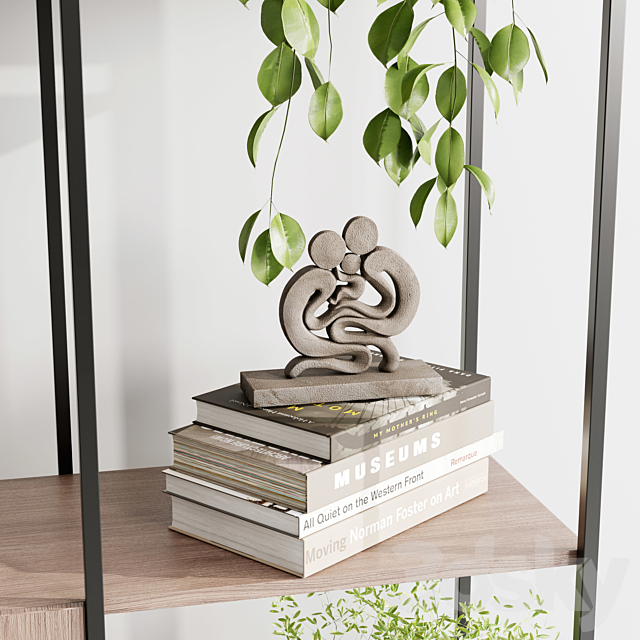 Metal Shelves Decorative With Plants and Book – Wooden Rack 01 3DSMax File - thumbnail 6