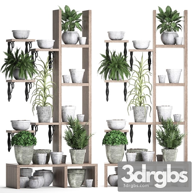 Plant collection 365. shelf with plants aloe flowerpot greenery vertical garden concrete eco design 2 3dsmax Download - thumbnail 1